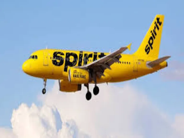 How Spirit Airlines High-Fived Its Haters With Viral Content